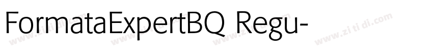 FormataExpertBQ Regu字体转换